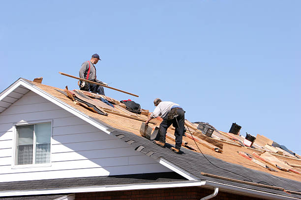 Best Gutter Installation and Repair  in Ardia, CA