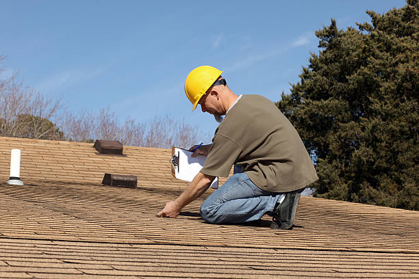 Best Solar Panel Roofing Installation  in Ardia, CA